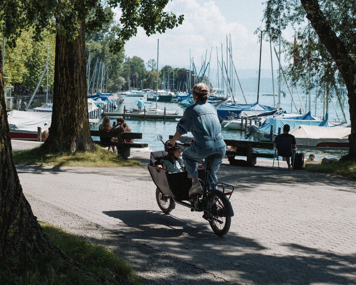 Muli Motor st pro (Kein Versand möglich)